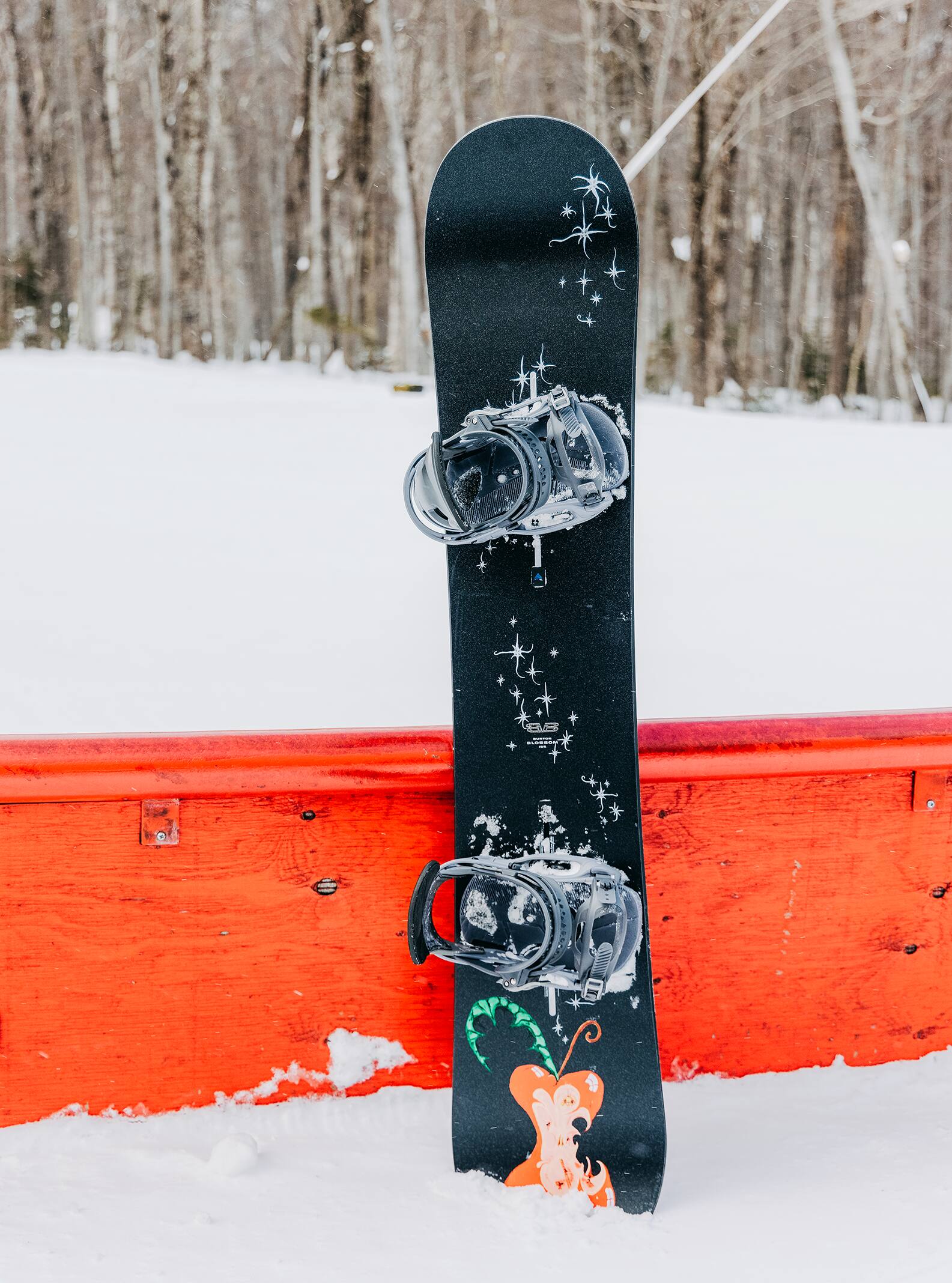 Blossom Snowboard 2023 Burton Rentals Resale US