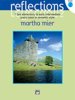 Mier: Reflections 2