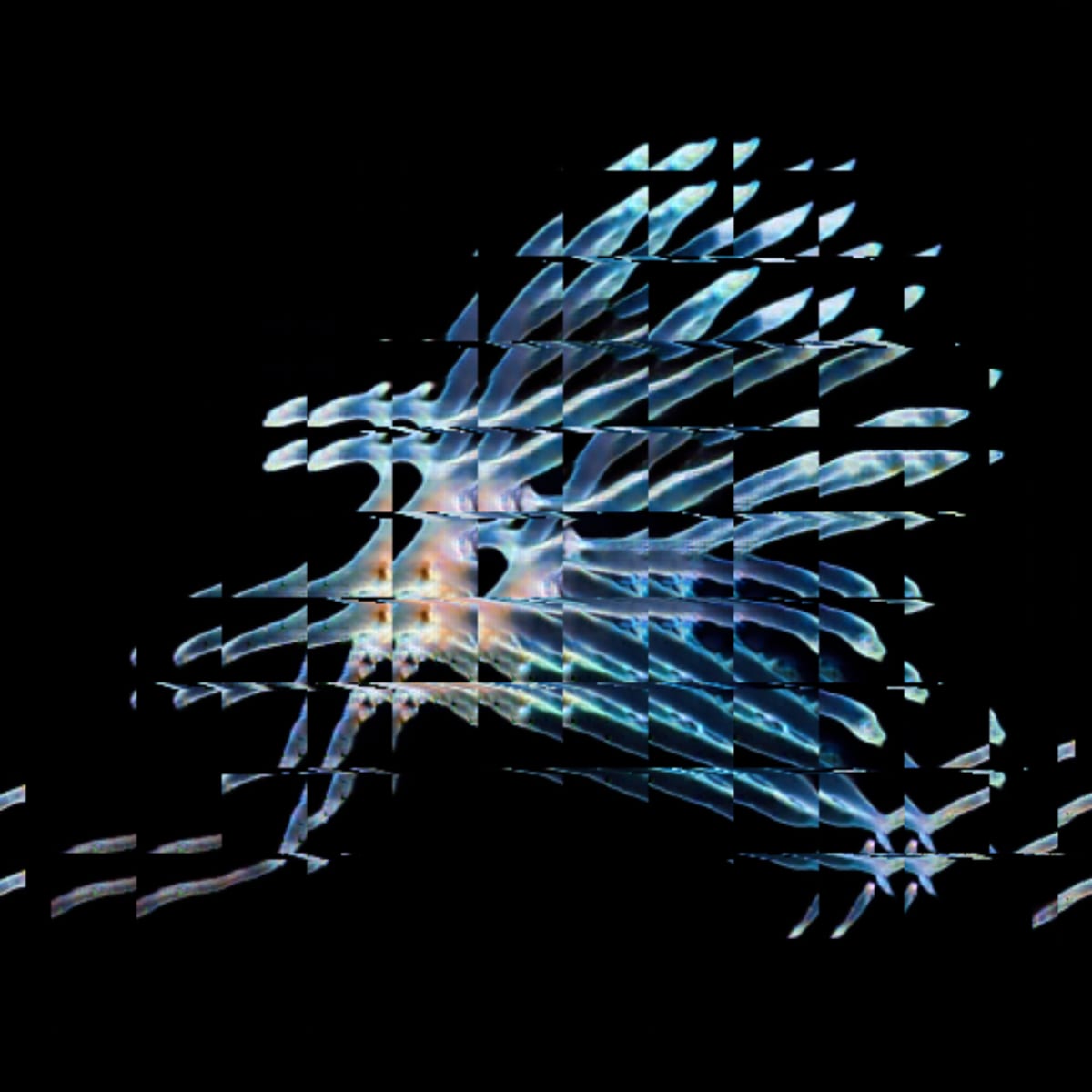 video placeholder image