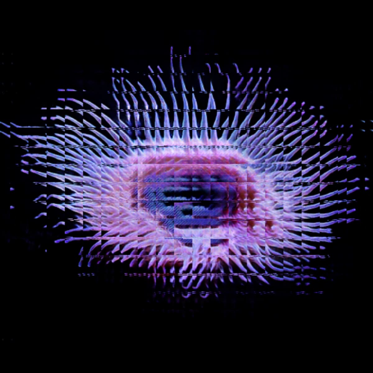 video placeholder image