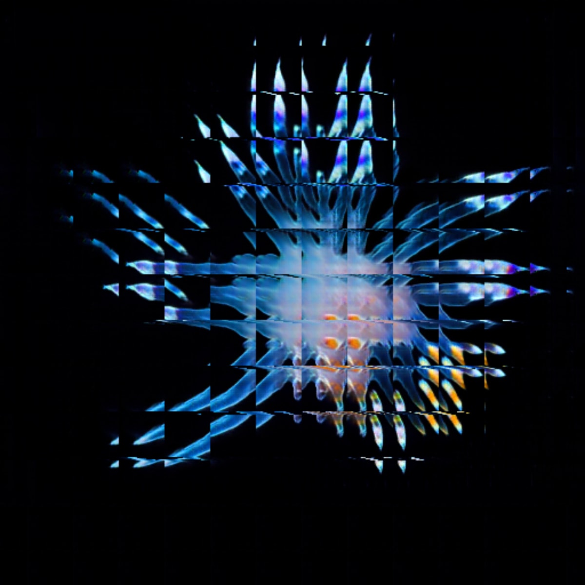 video placeholder image