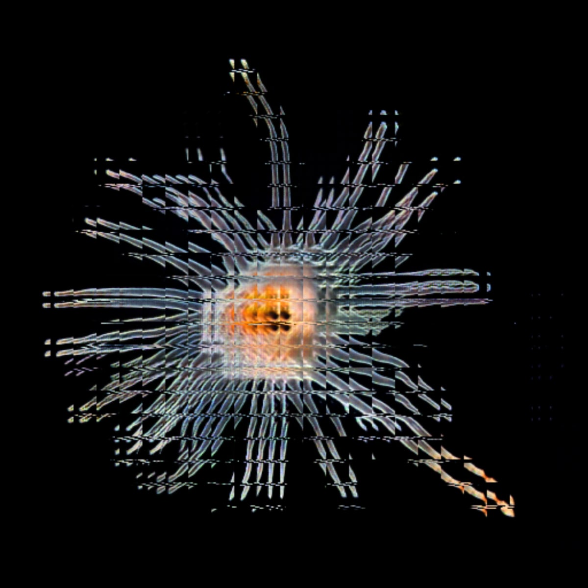 video placeholder image