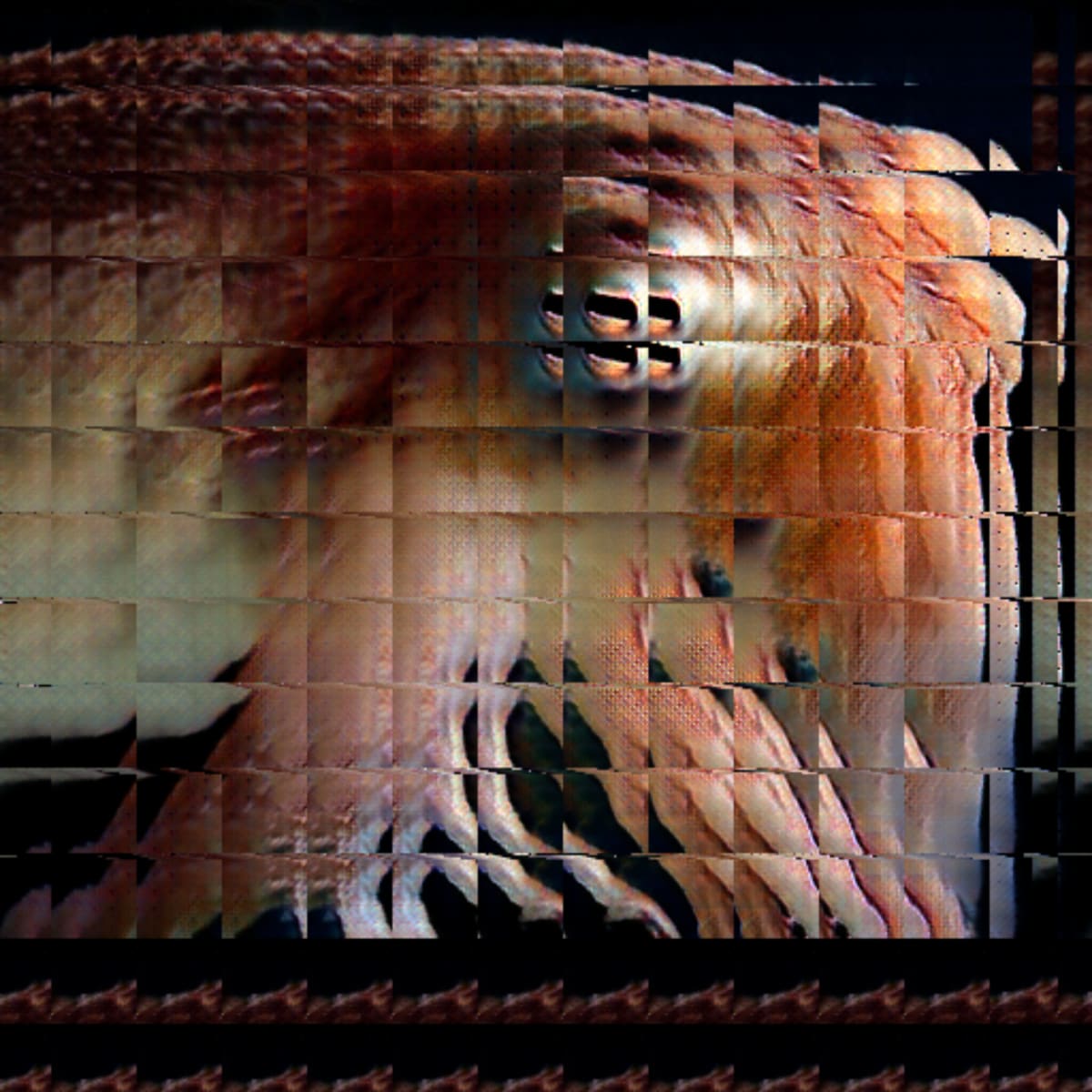 video placeholder image