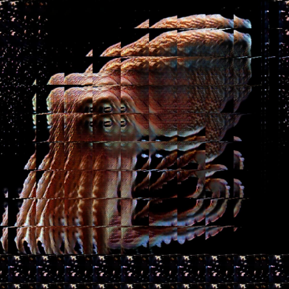video placeholder image