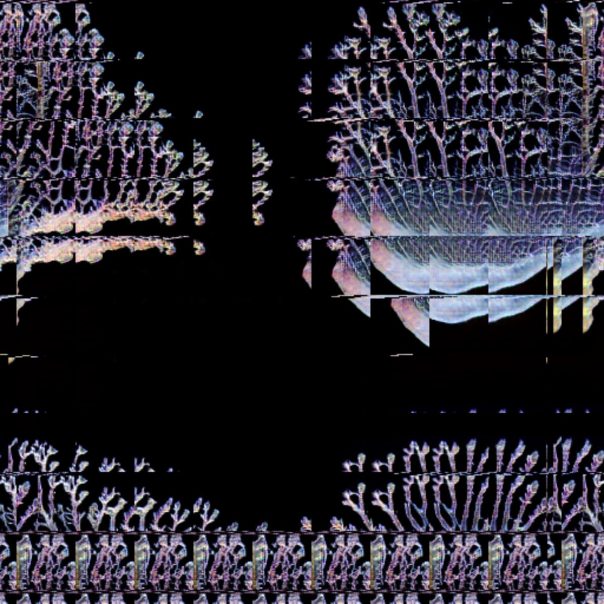 video placeholder image