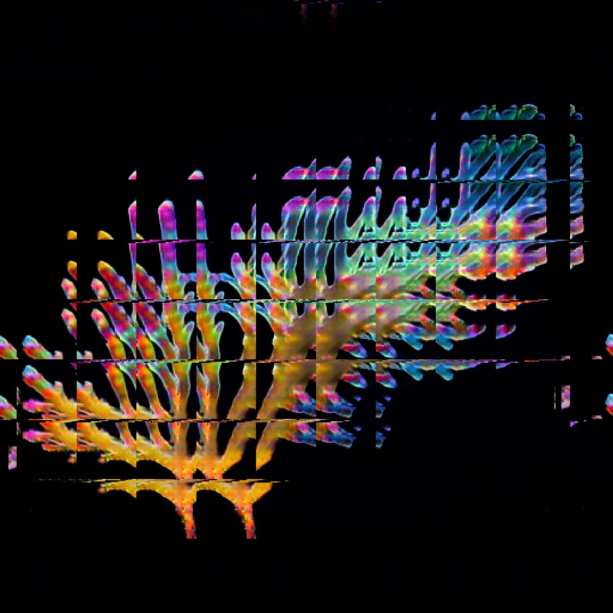 video placeholder image
