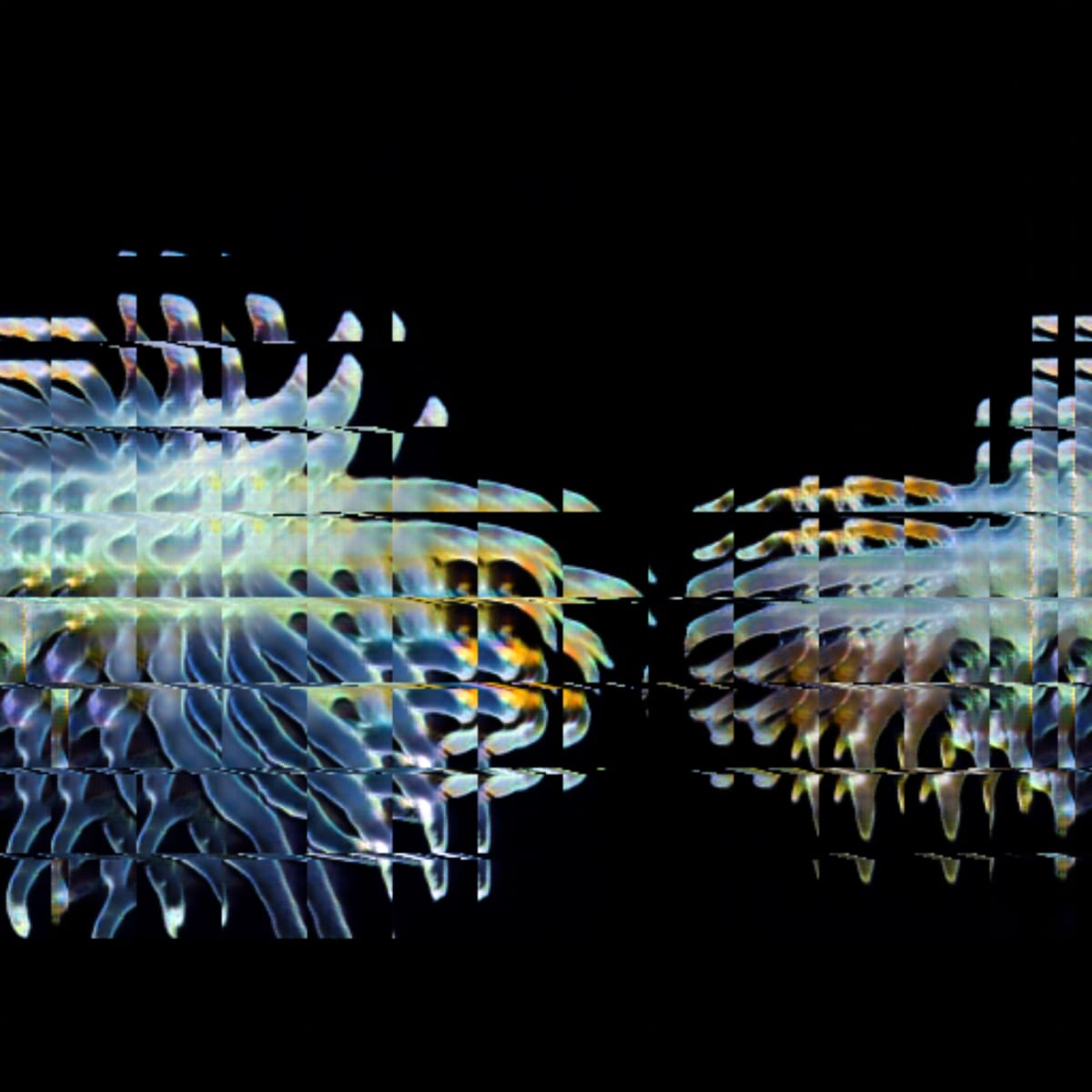 video placeholder image
