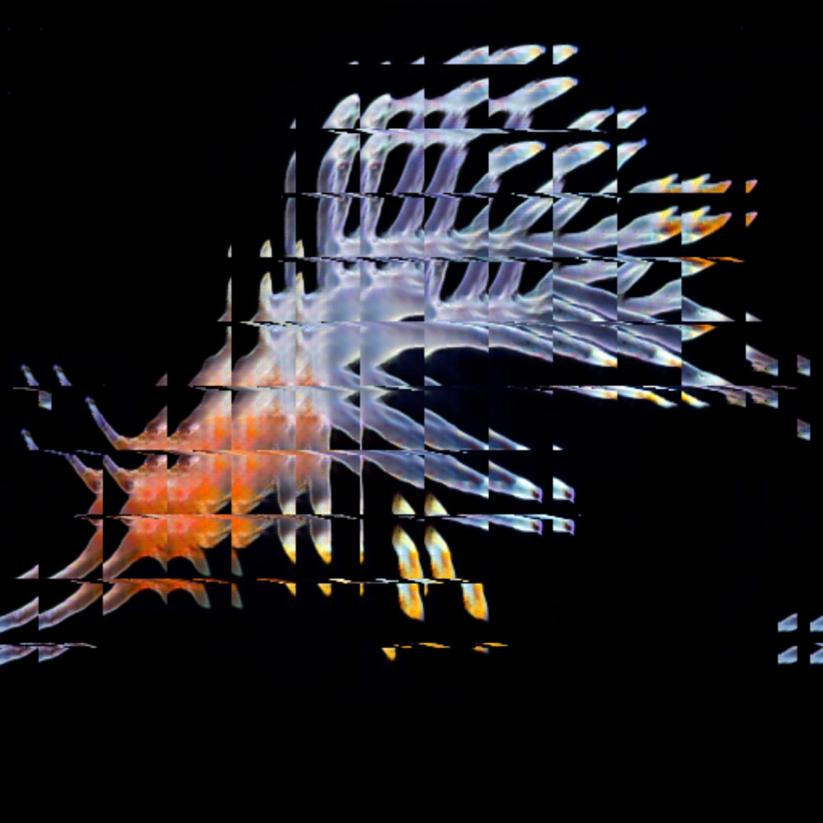 video placeholder image