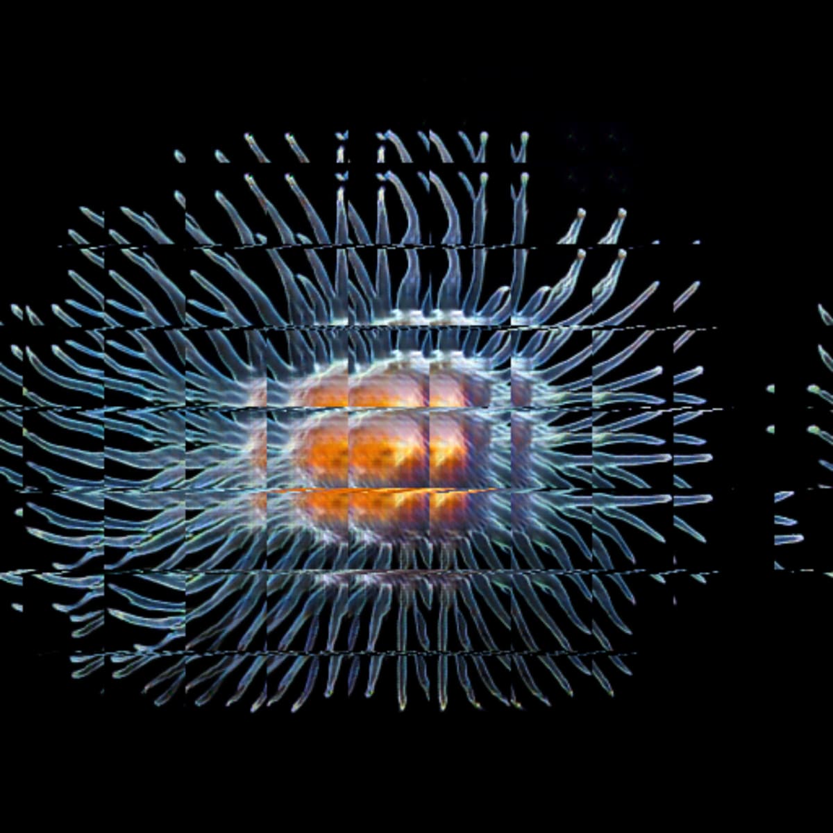 video placeholder image