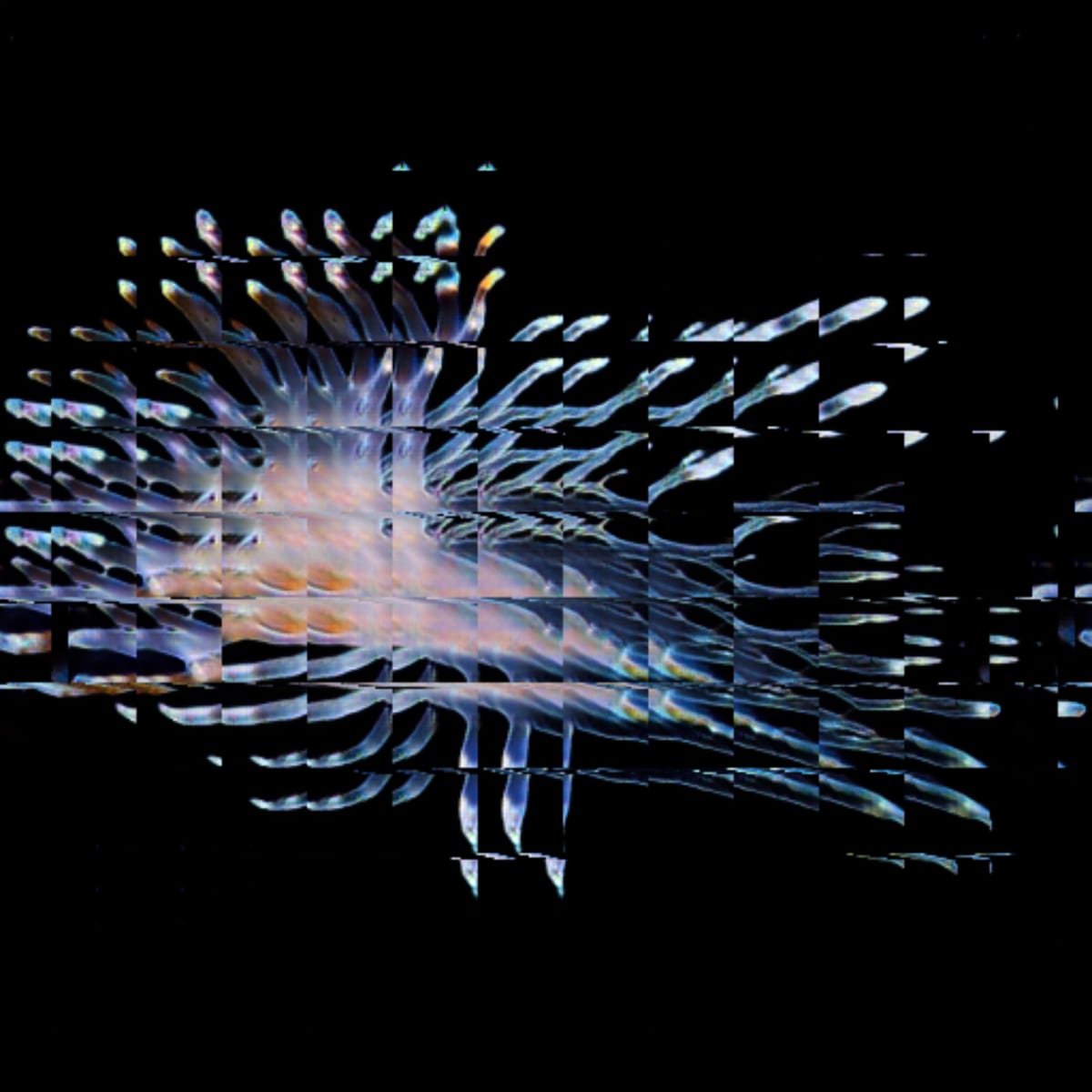 video placeholder image