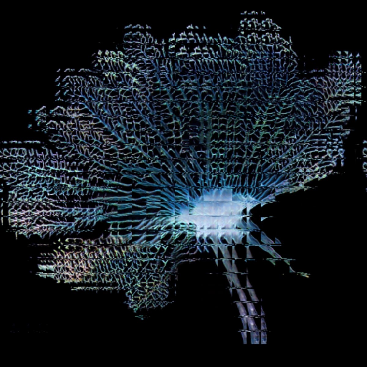 video placeholder image