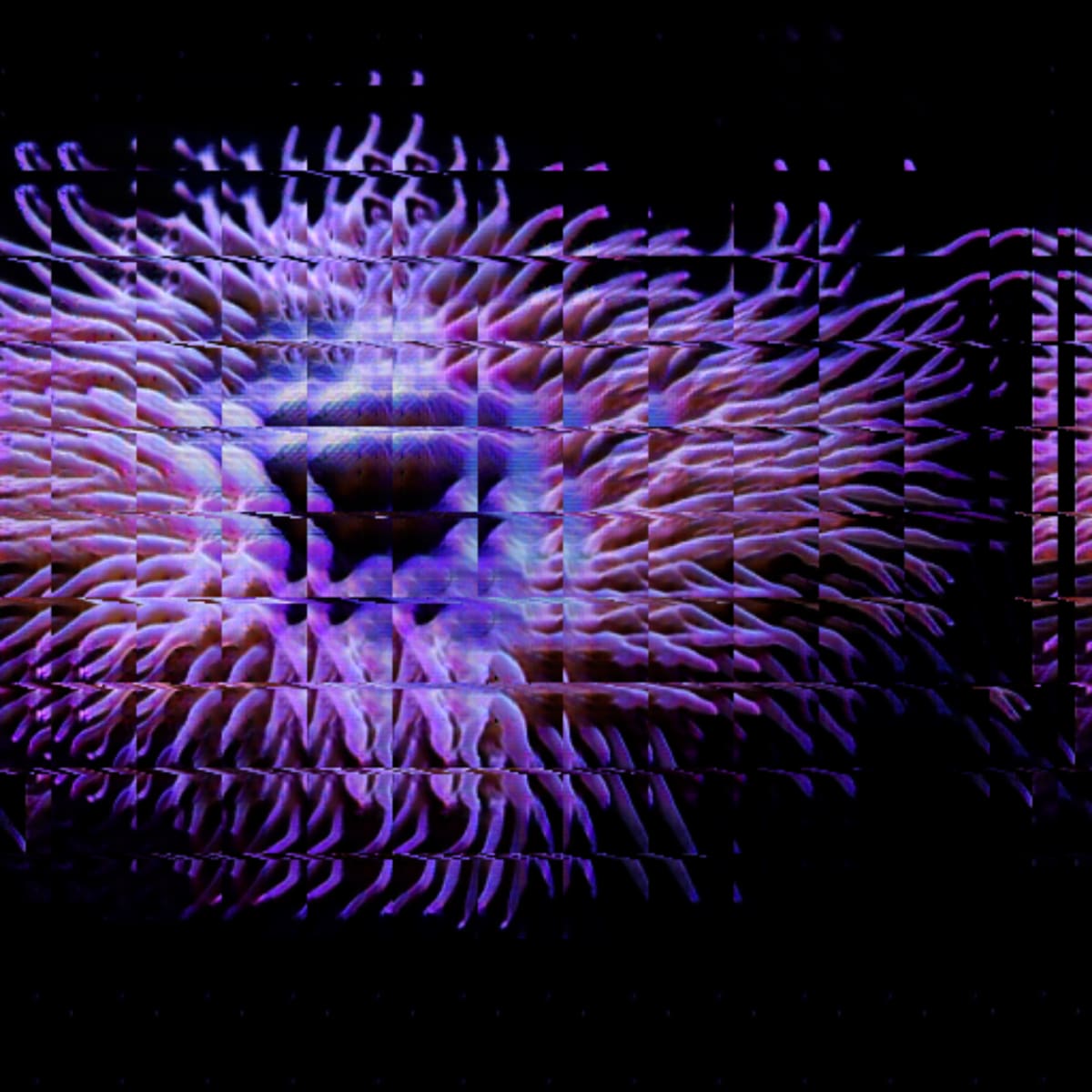 video placeholder image