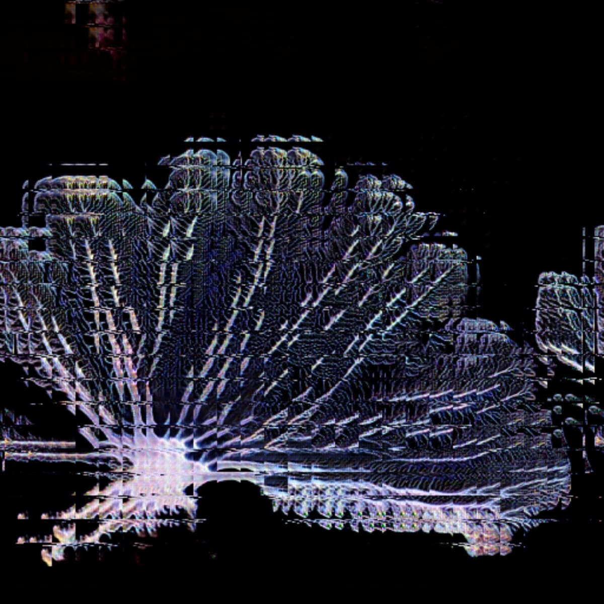 video placeholder image