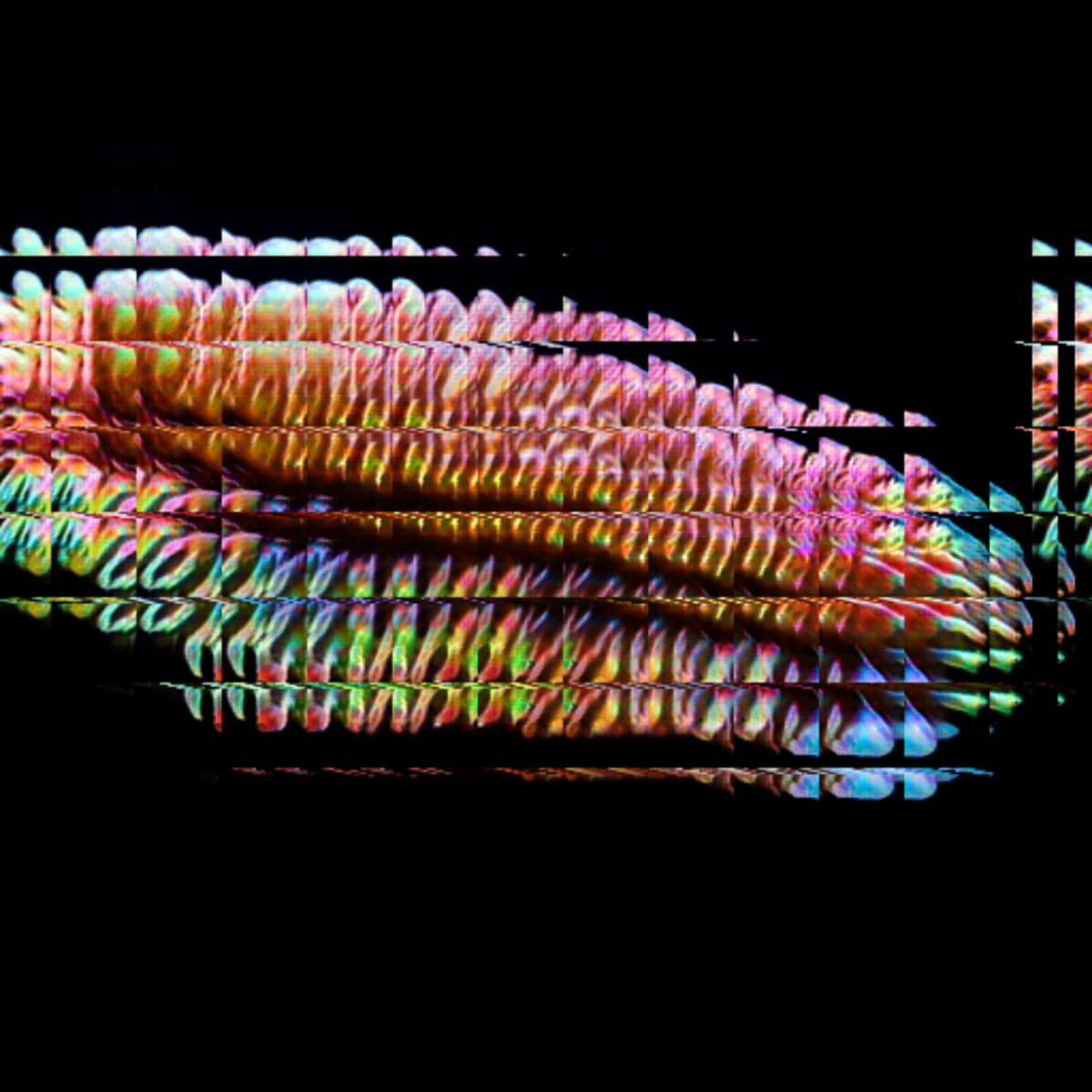 video placeholder image