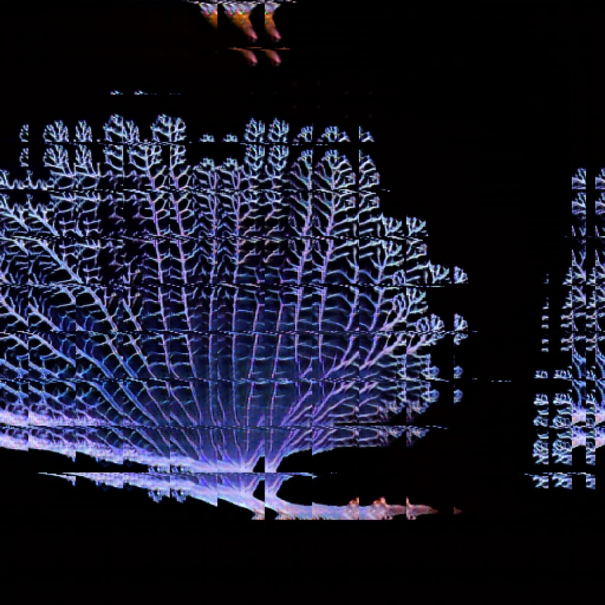 video placeholder image