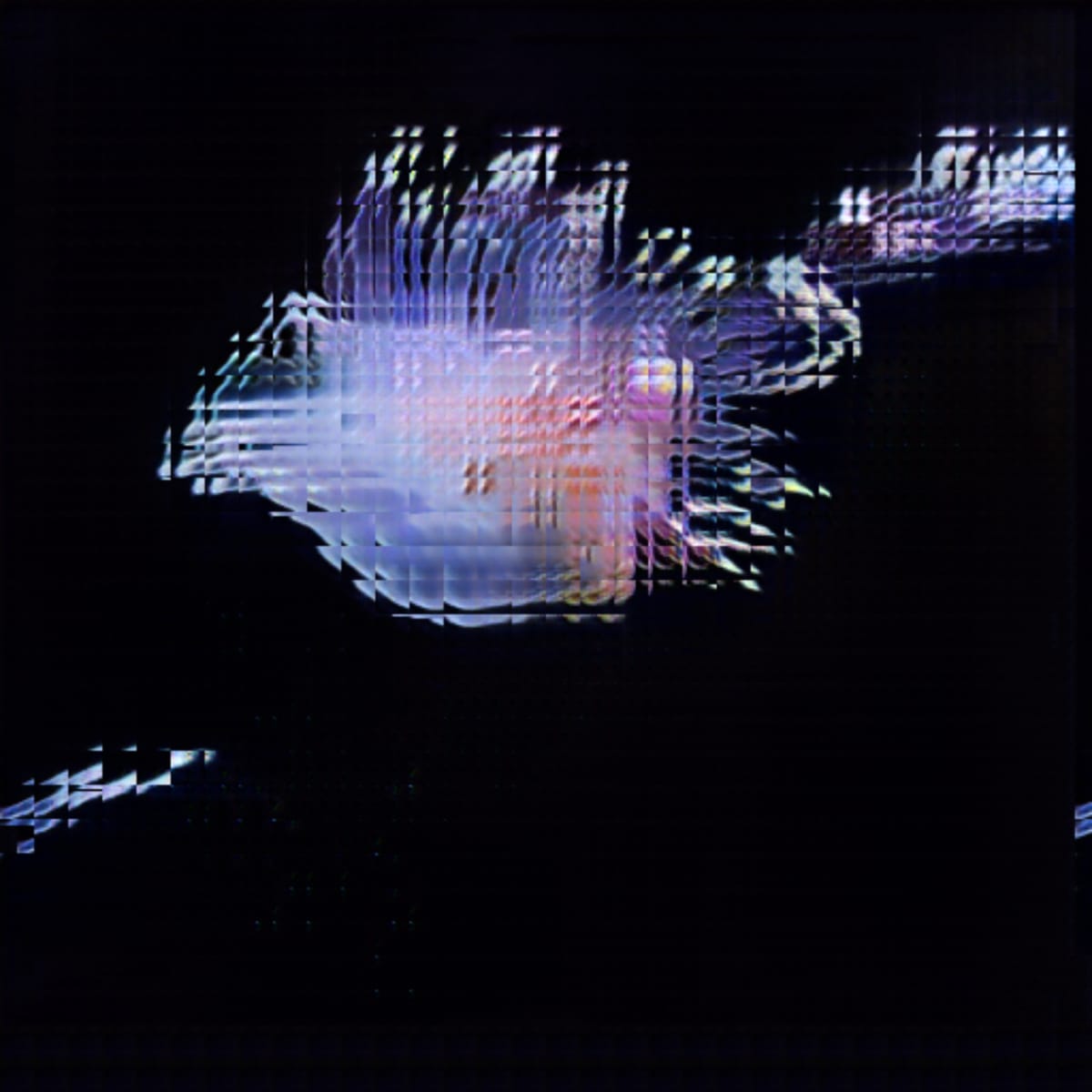 video placeholder image