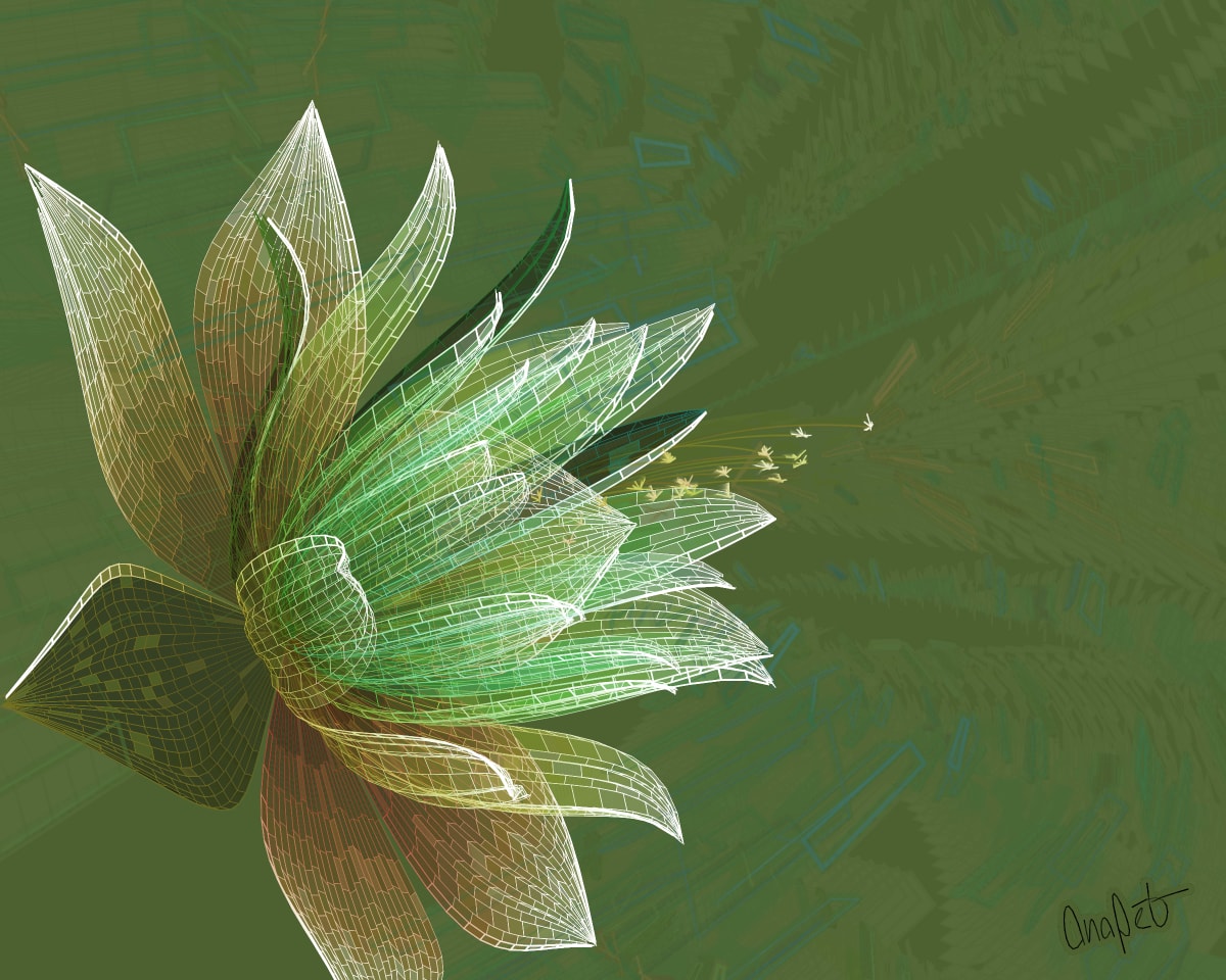 video placeholder image