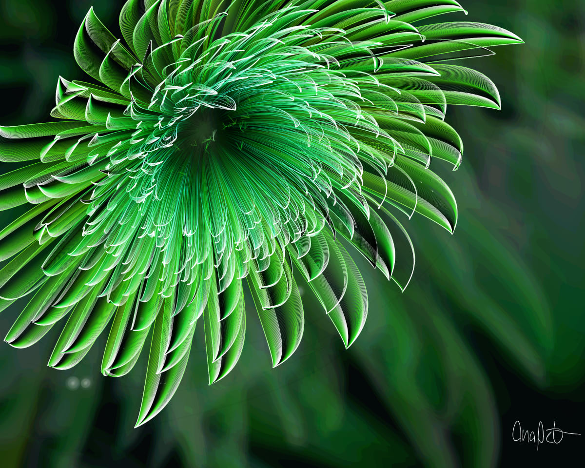 video placeholder image