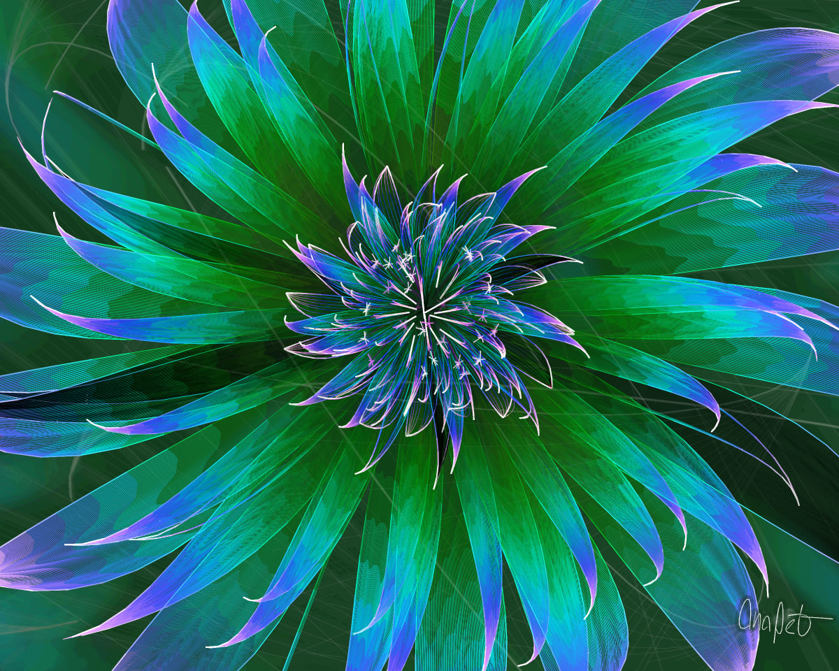 video placeholder image
