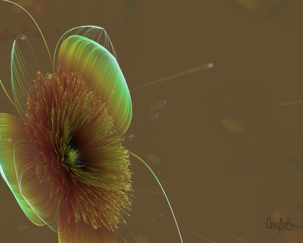 video placeholder image