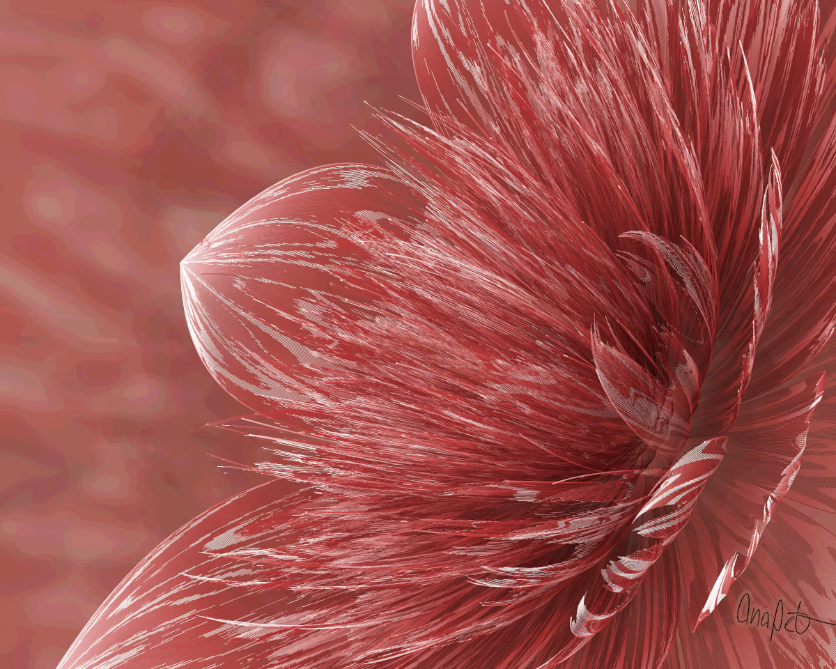 video placeholder image