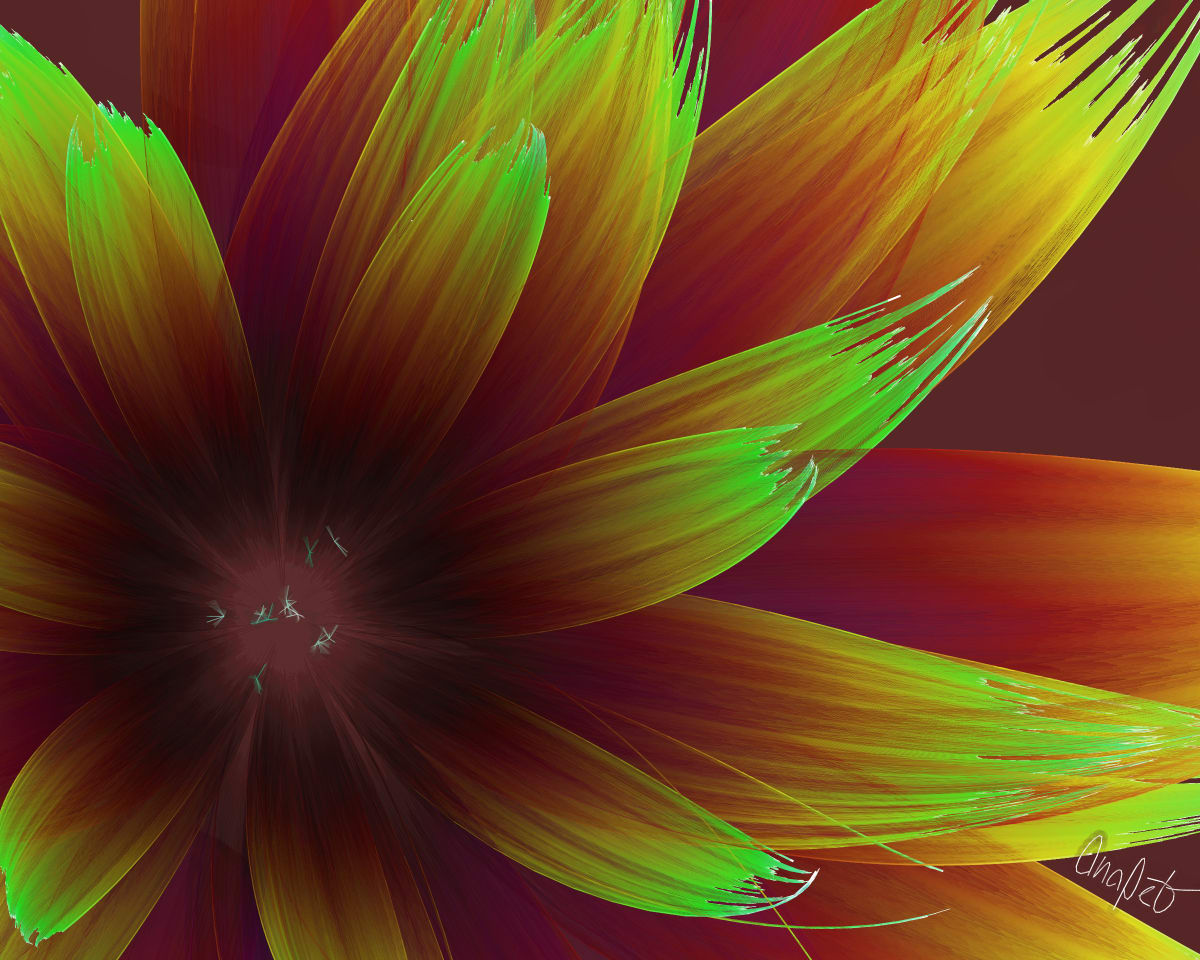 video placeholder image