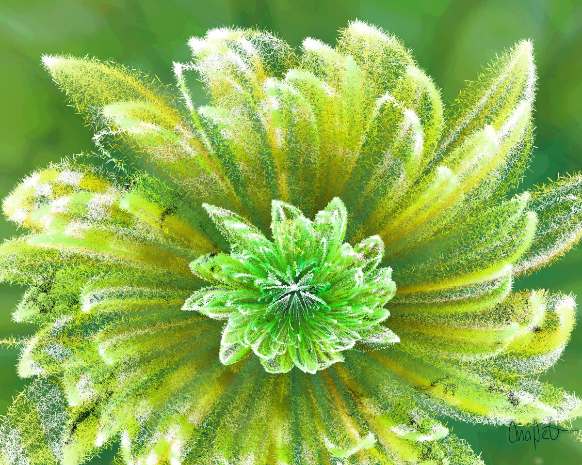 video placeholder image