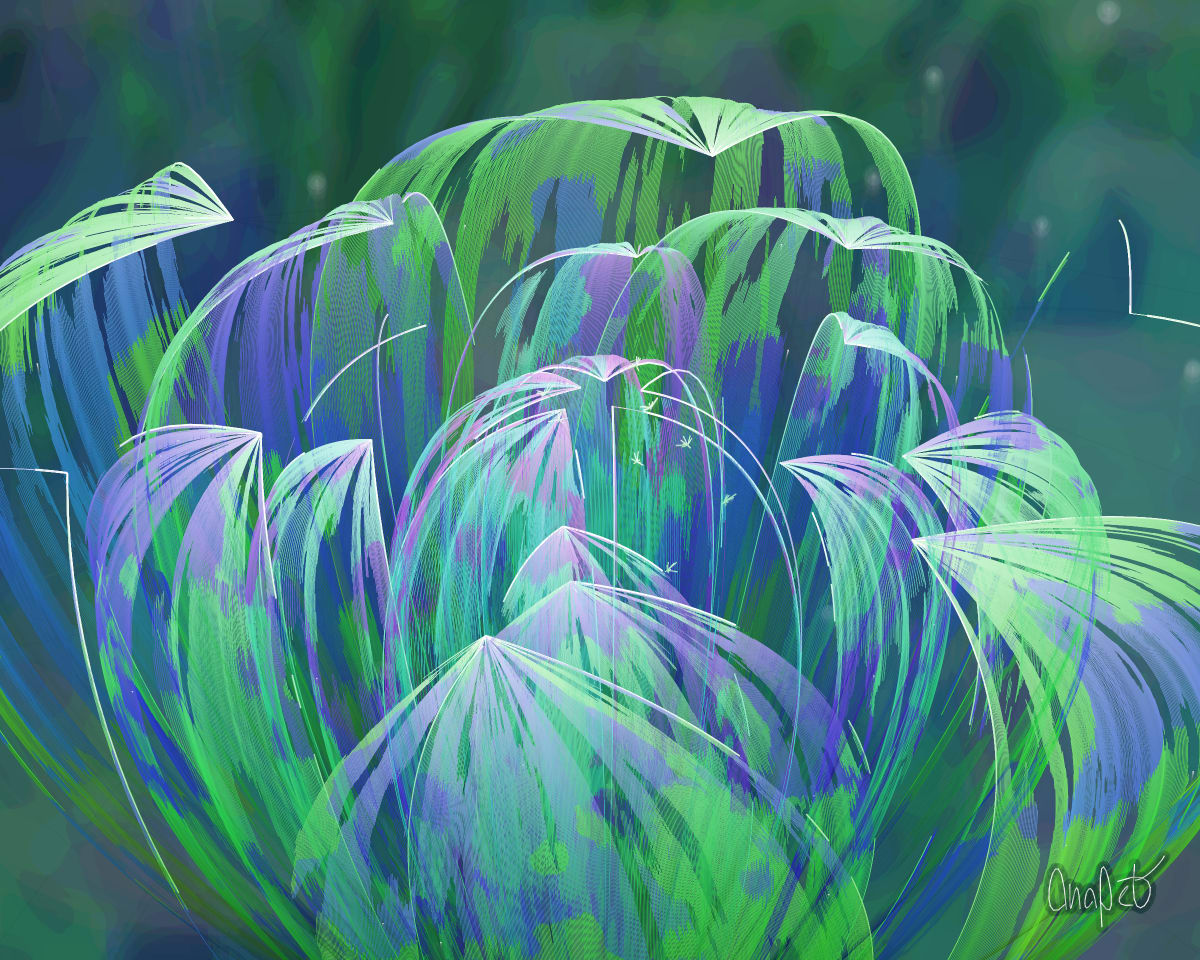 video placeholder image