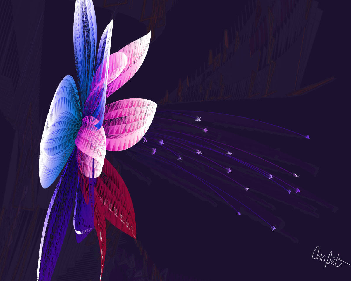 video placeholder image