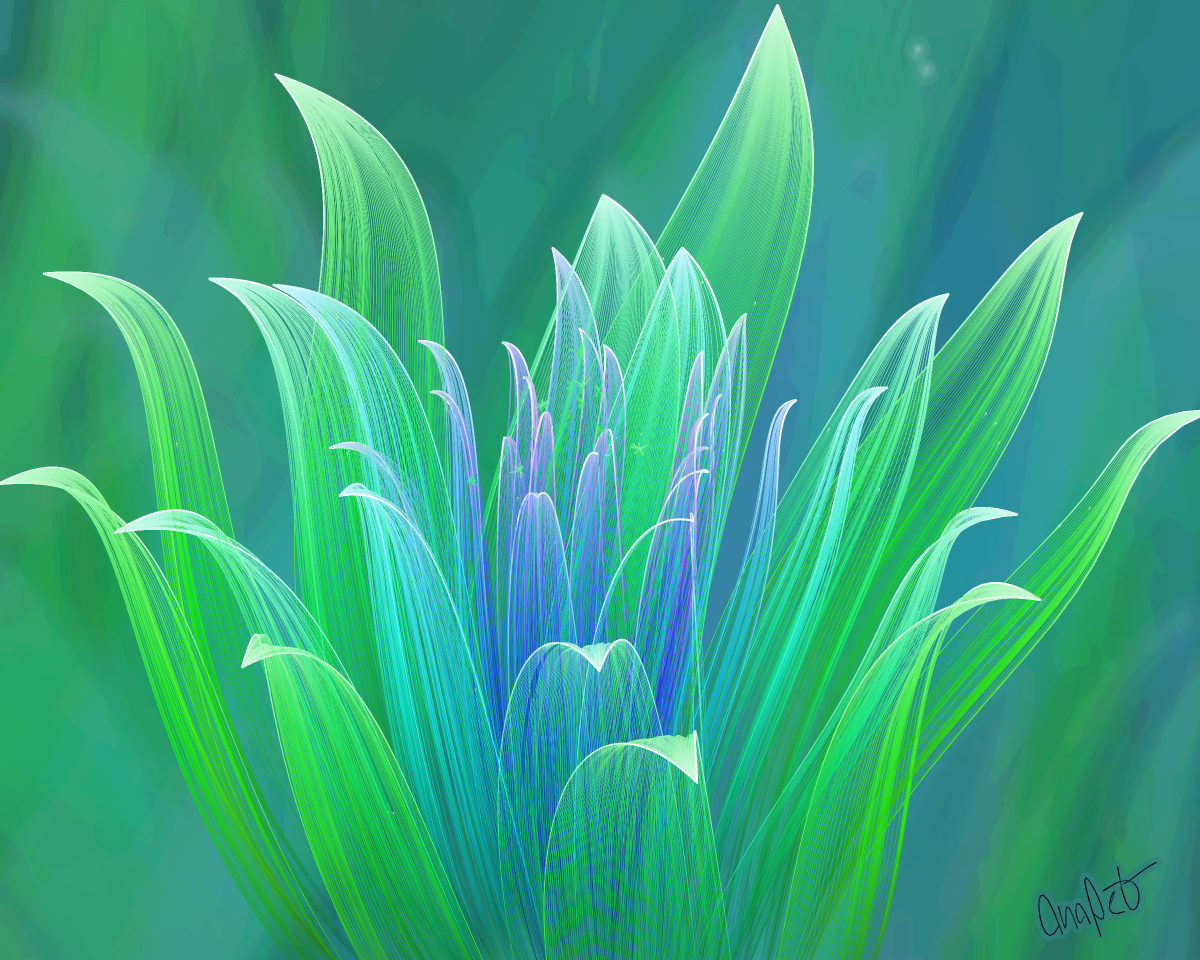 video placeholder image