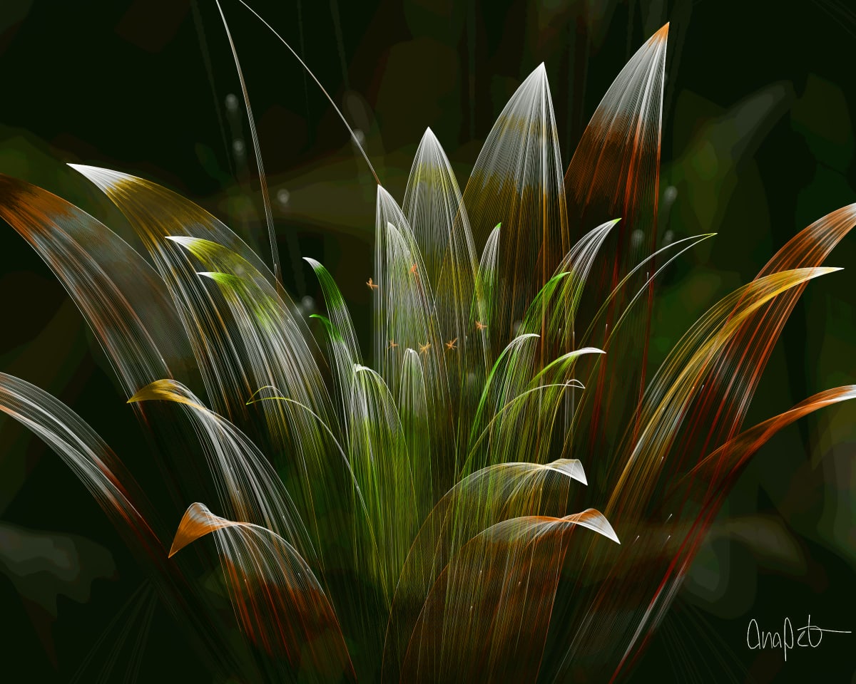 video placeholder image