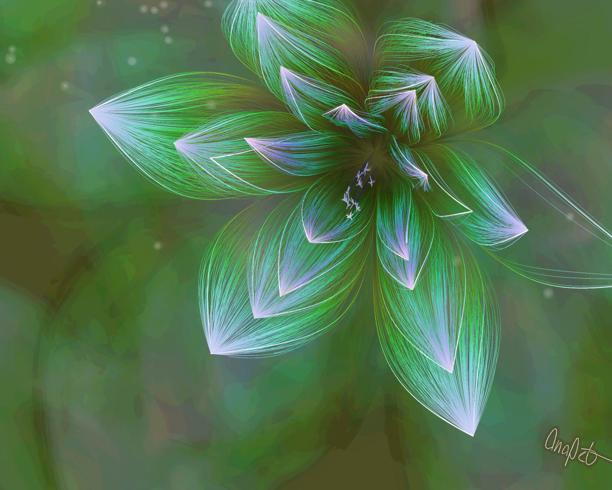 video placeholder image