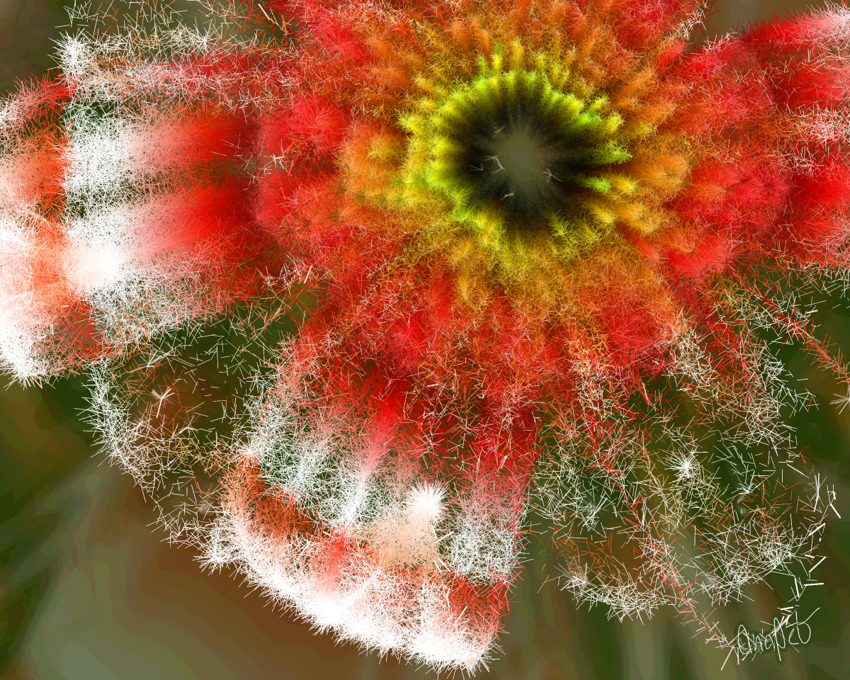 video placeholder image