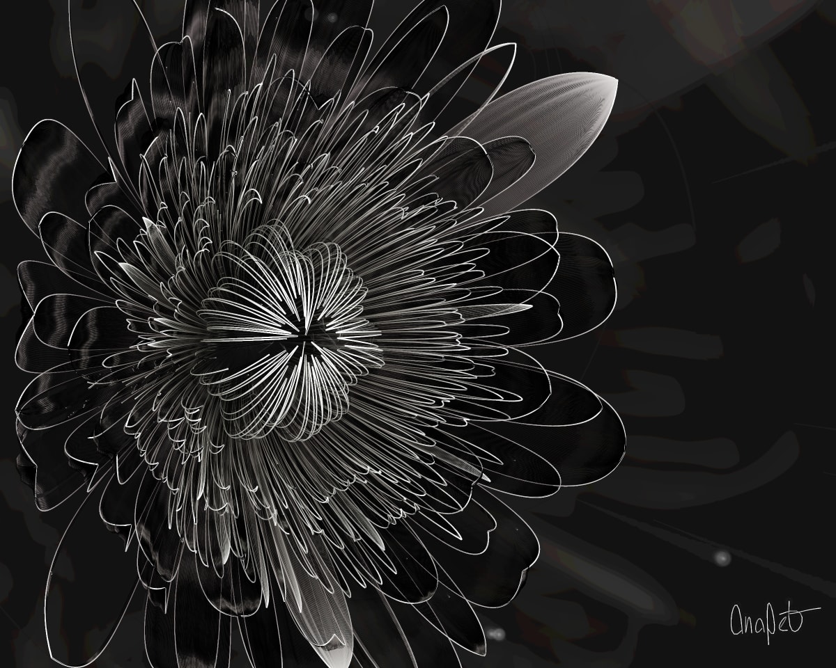 video placeholder image