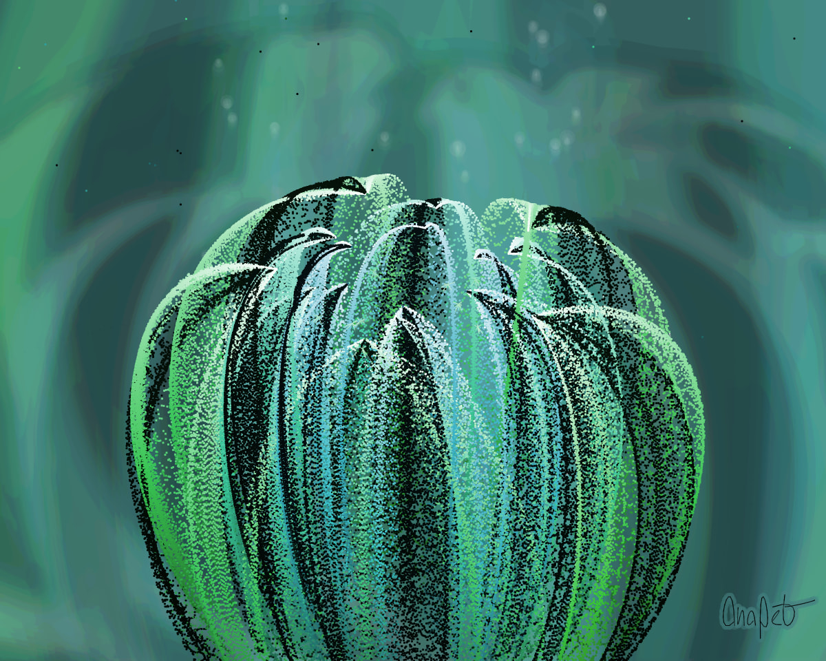 video placeholder image