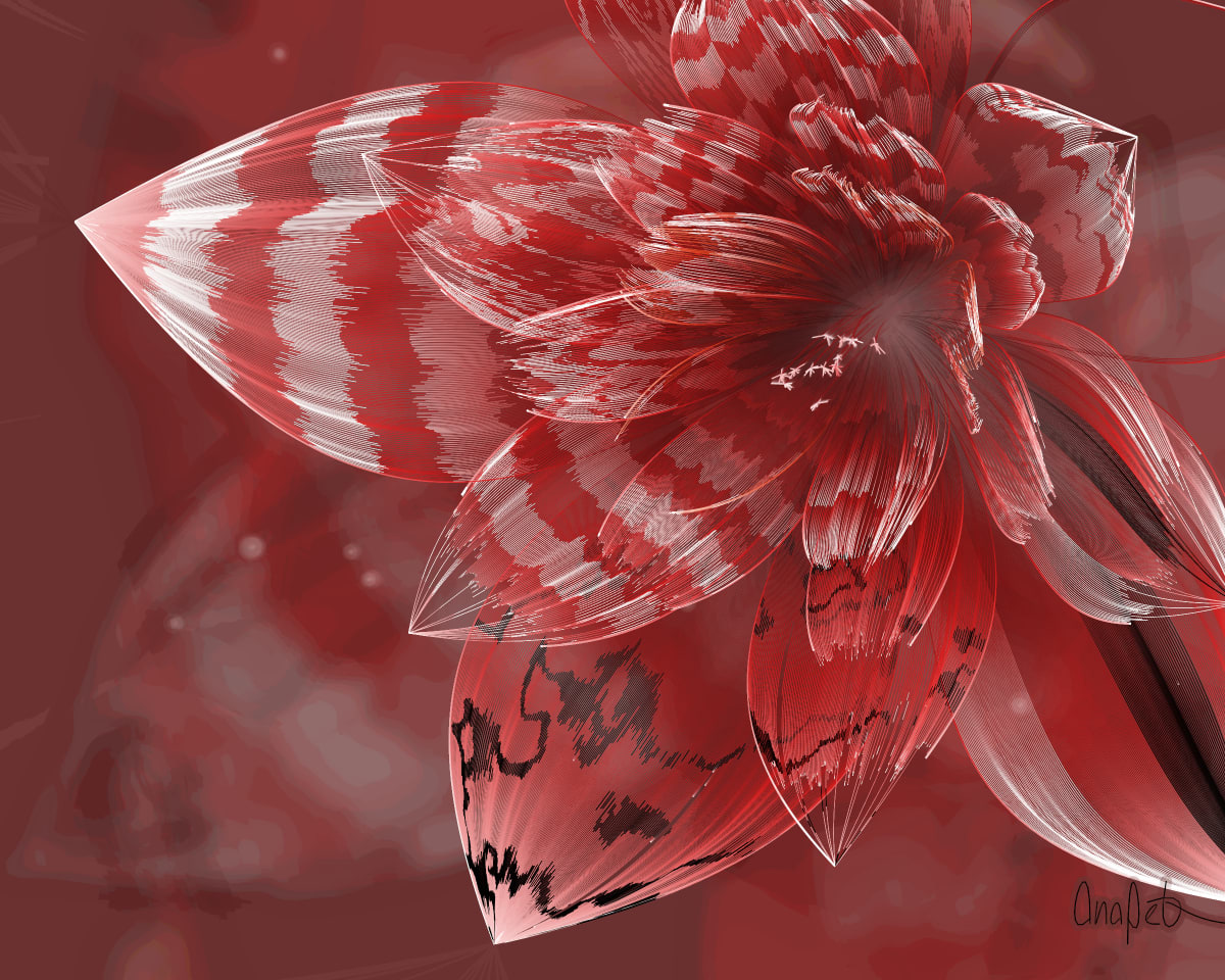 video placeholder image
