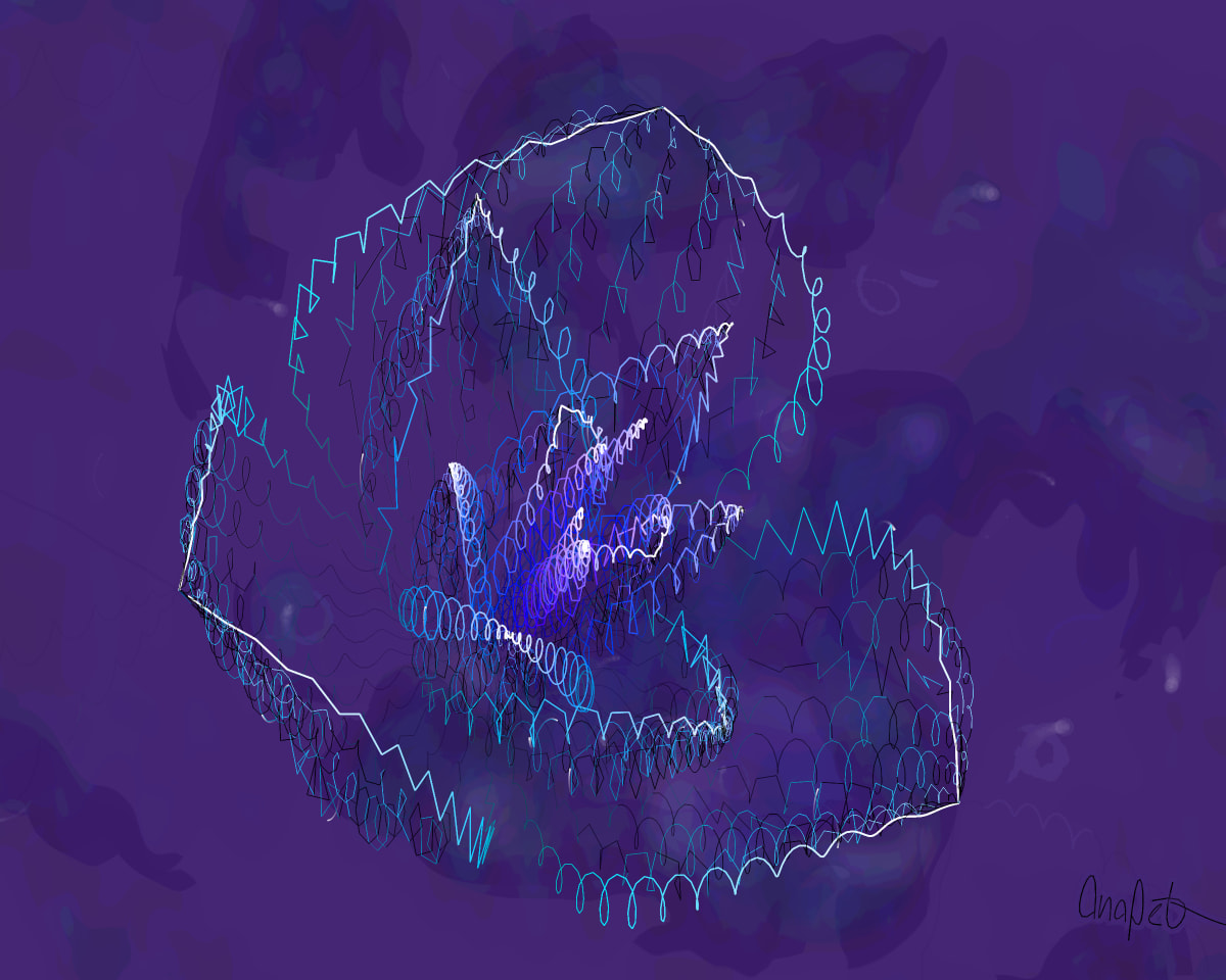 video placeholder image