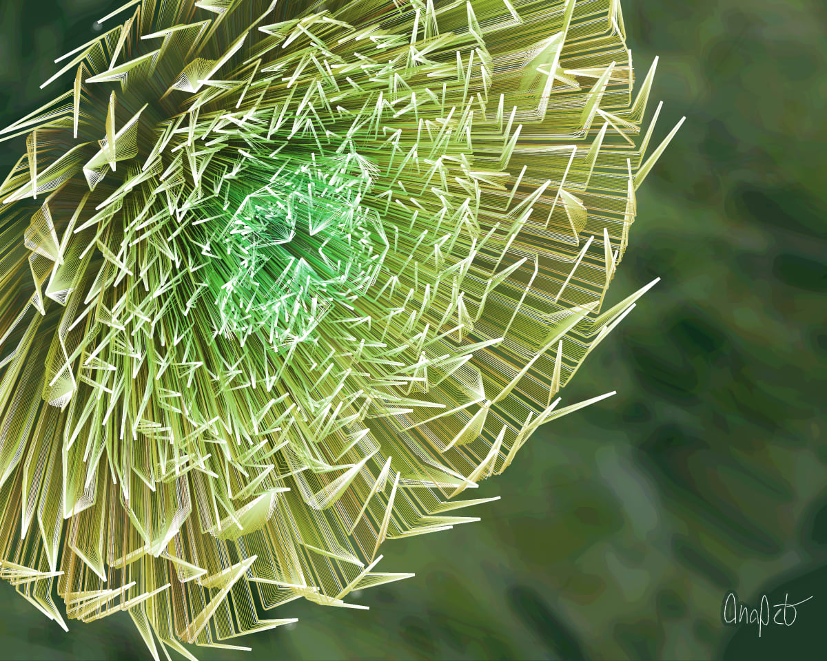 video placeholder image