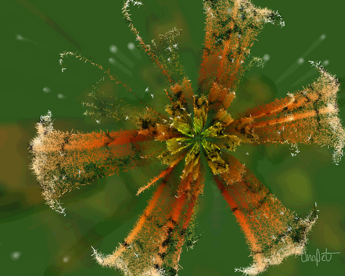 video placeholder image