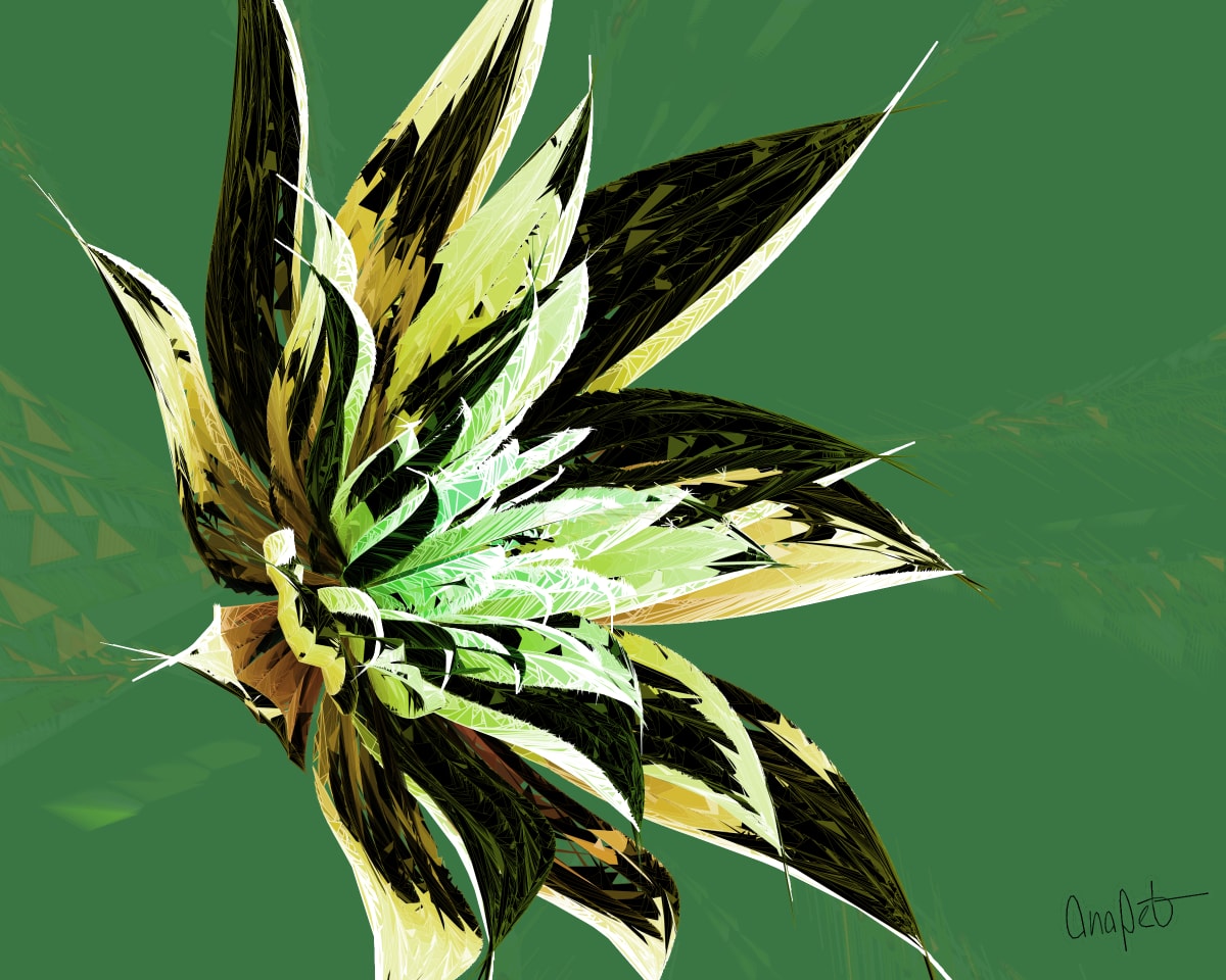 video placeholder image