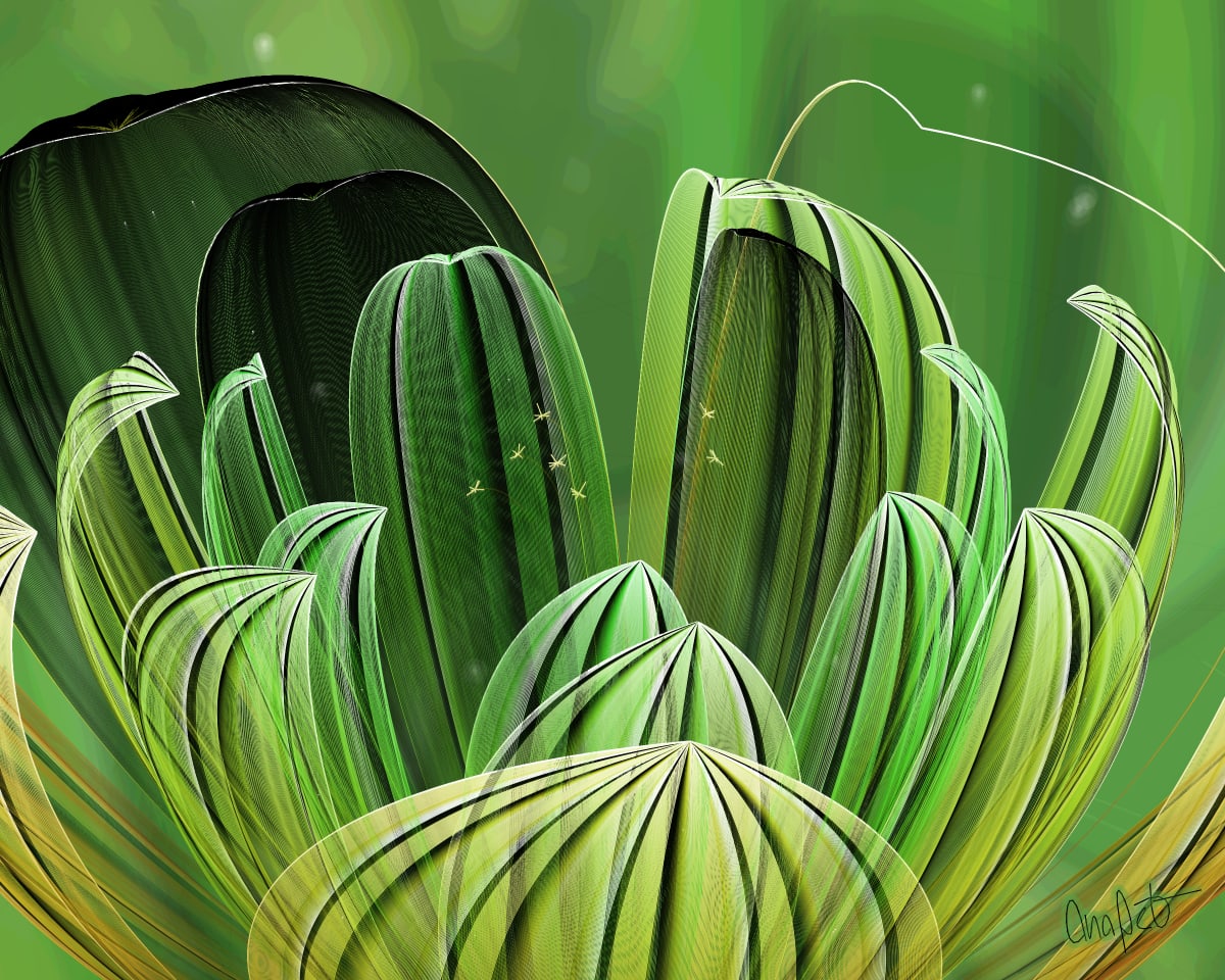 video placeholder image