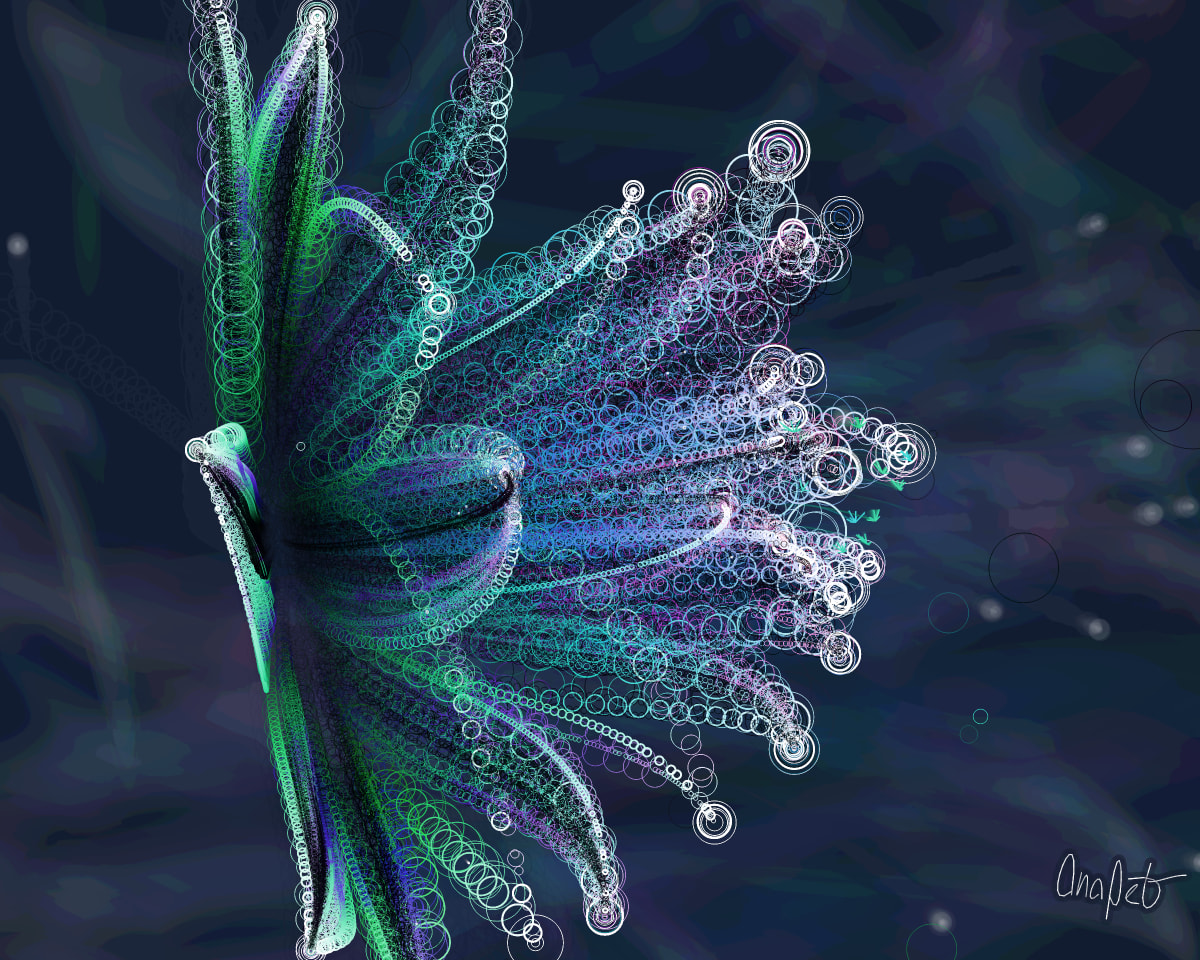 video placeholder image