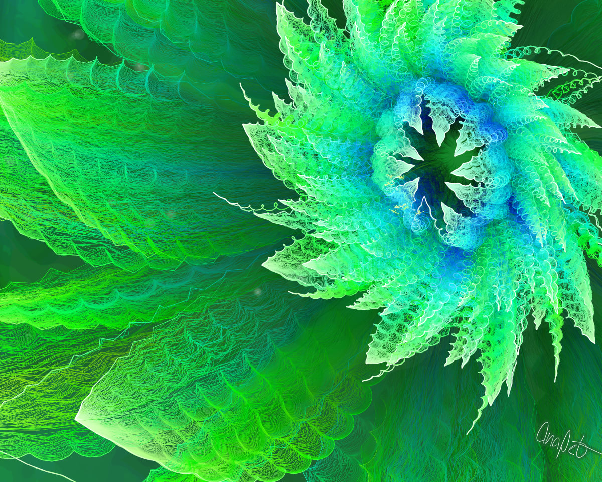 video placeholder image