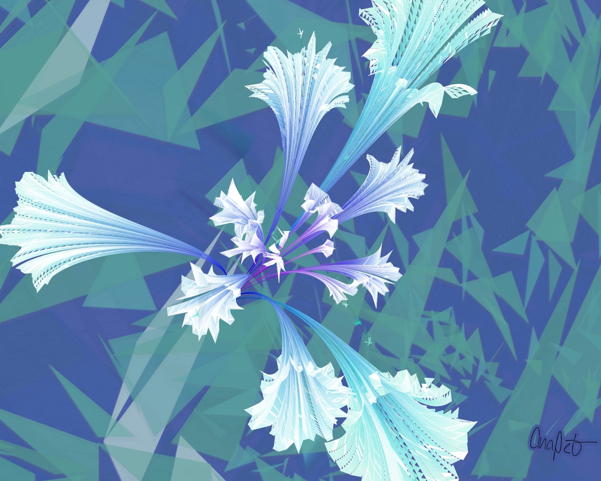 video placeholder image