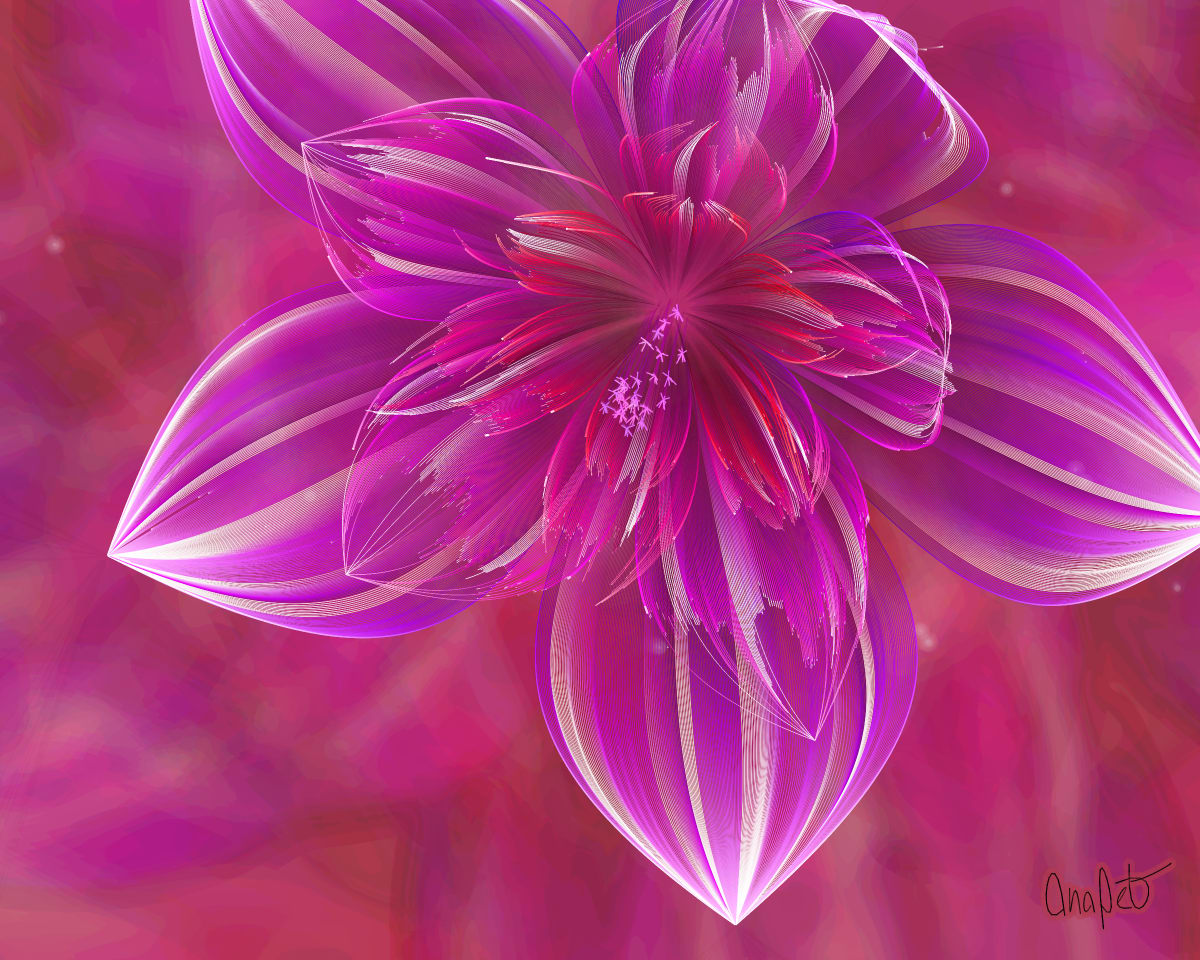 video placeholder image