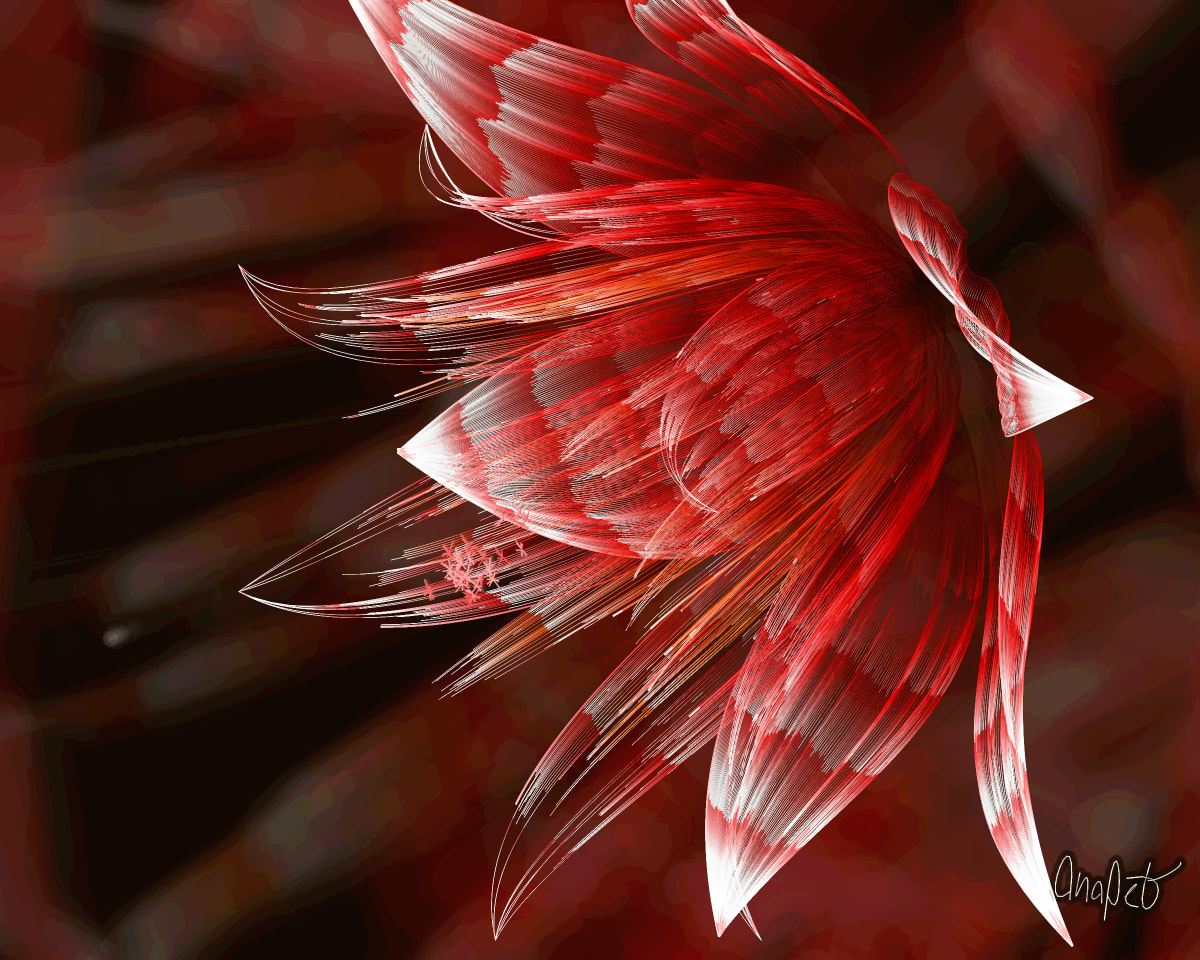 video placeholder image