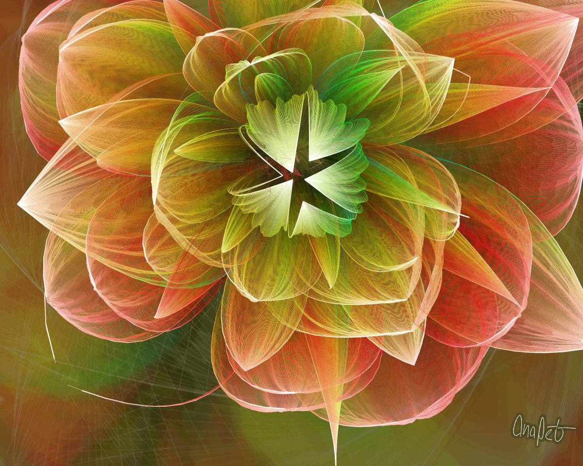 video placeholder image