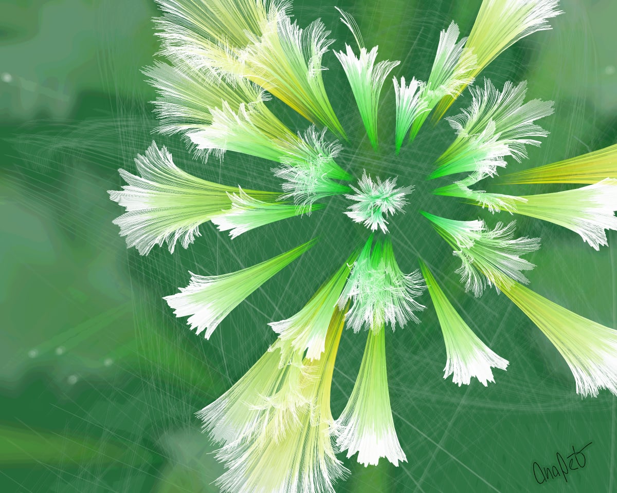 video placeholder image