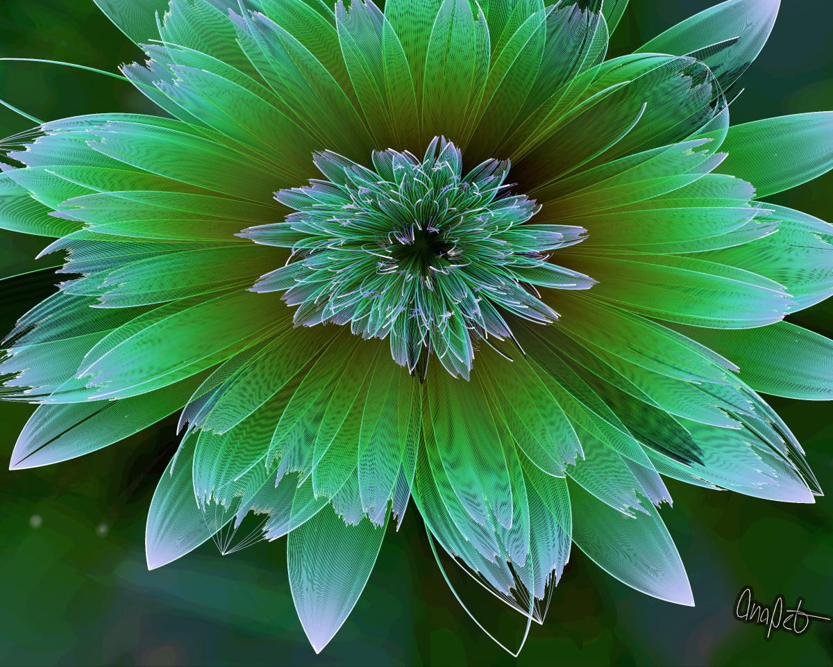video placeholder image