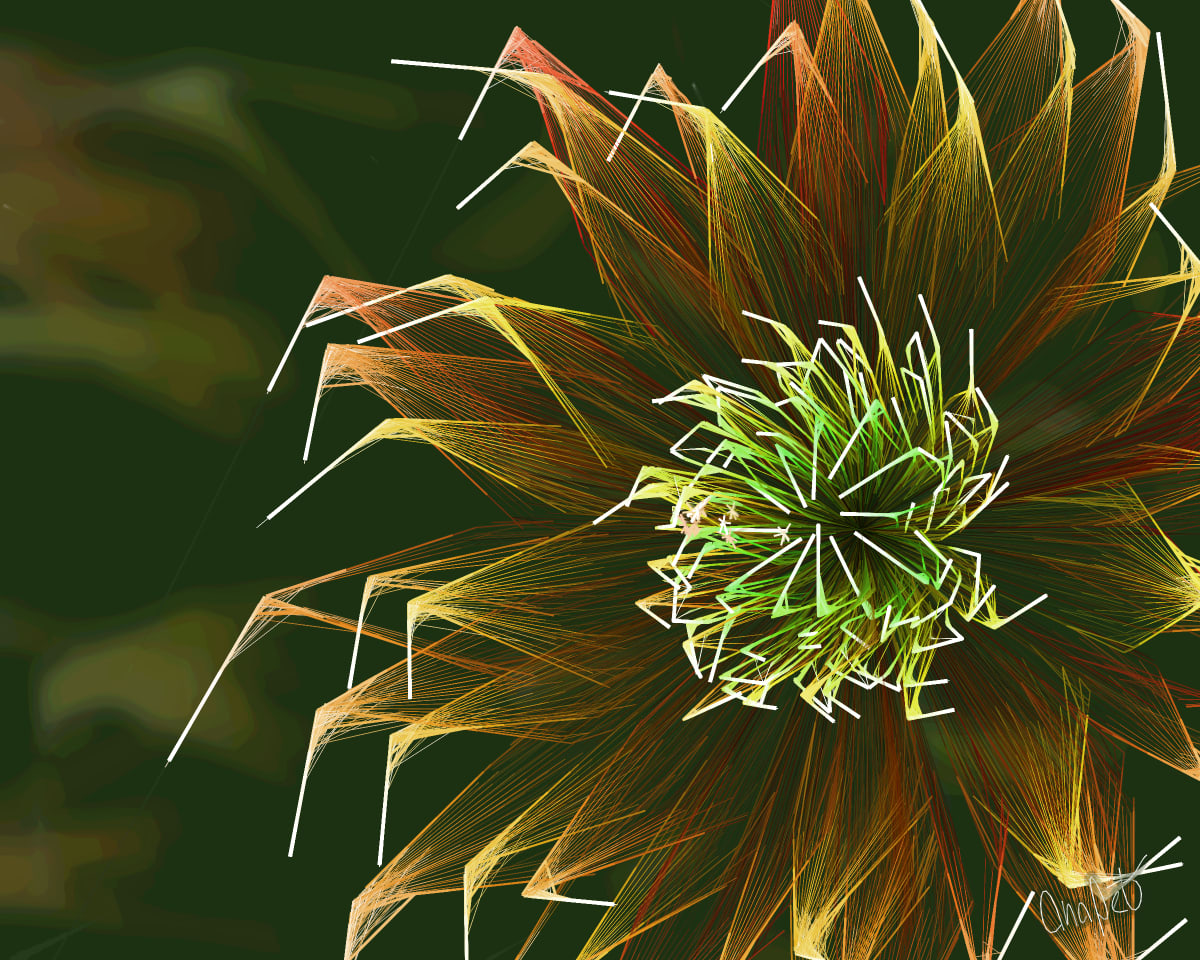 video placeholder image